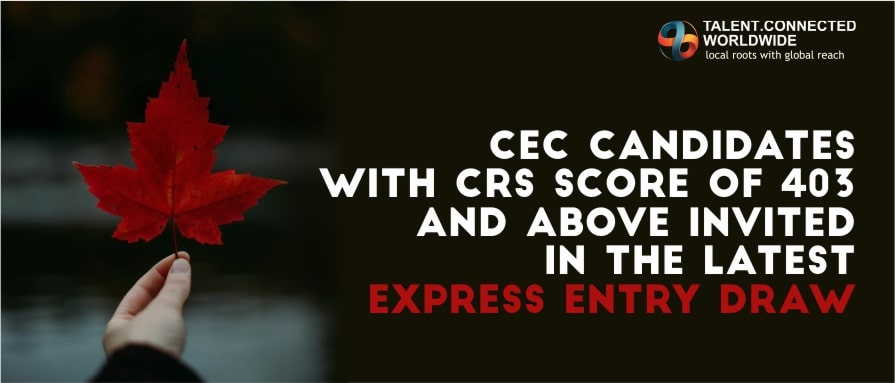 CEC candidates with CRS score of 403 and above invited in the latest Express Entry draw