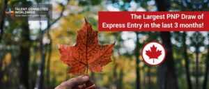 The Largest PNP Draw of Express Entry in the last 3 months