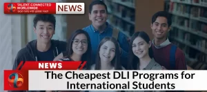 The Cheapest DLI Programs for International Students!