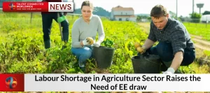 Labour-Shortage-in-Agriculture-Sector-Raises-the-Need-of-EE-draw