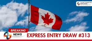 Express-Entry-Draw-313